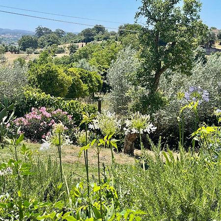 Best Luxury Boutique B&B Vista Do Vale Tomar Bagian luar foto
