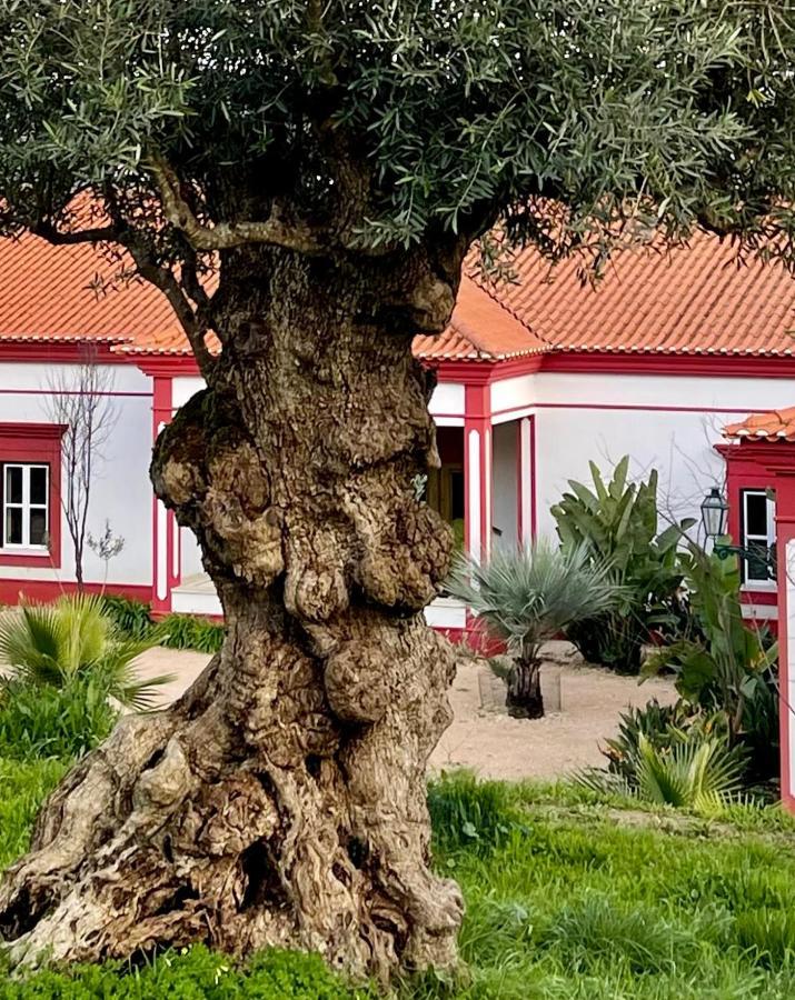 Best Luxury Boutique B&B Vista Do Vale Tomar Bagian luar foto